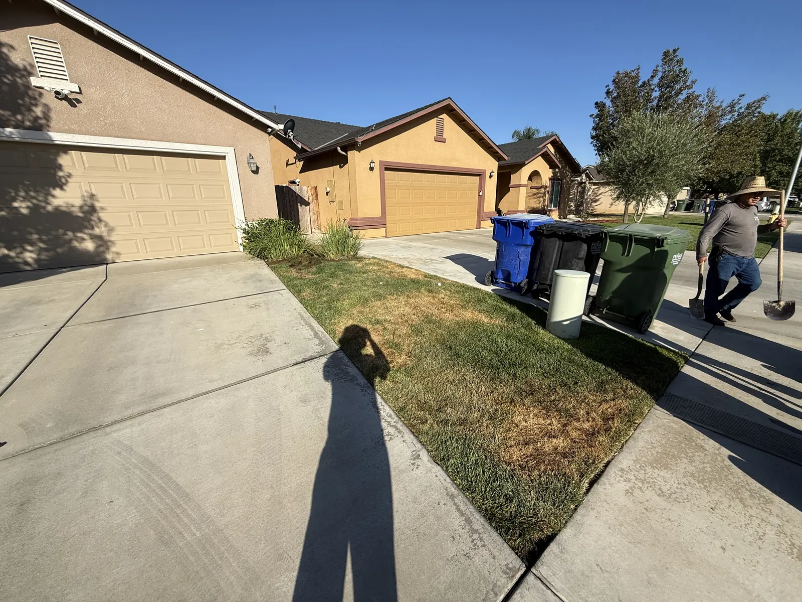 Lawn strip beside a driveway due to come out, bins standing on the sidewalk